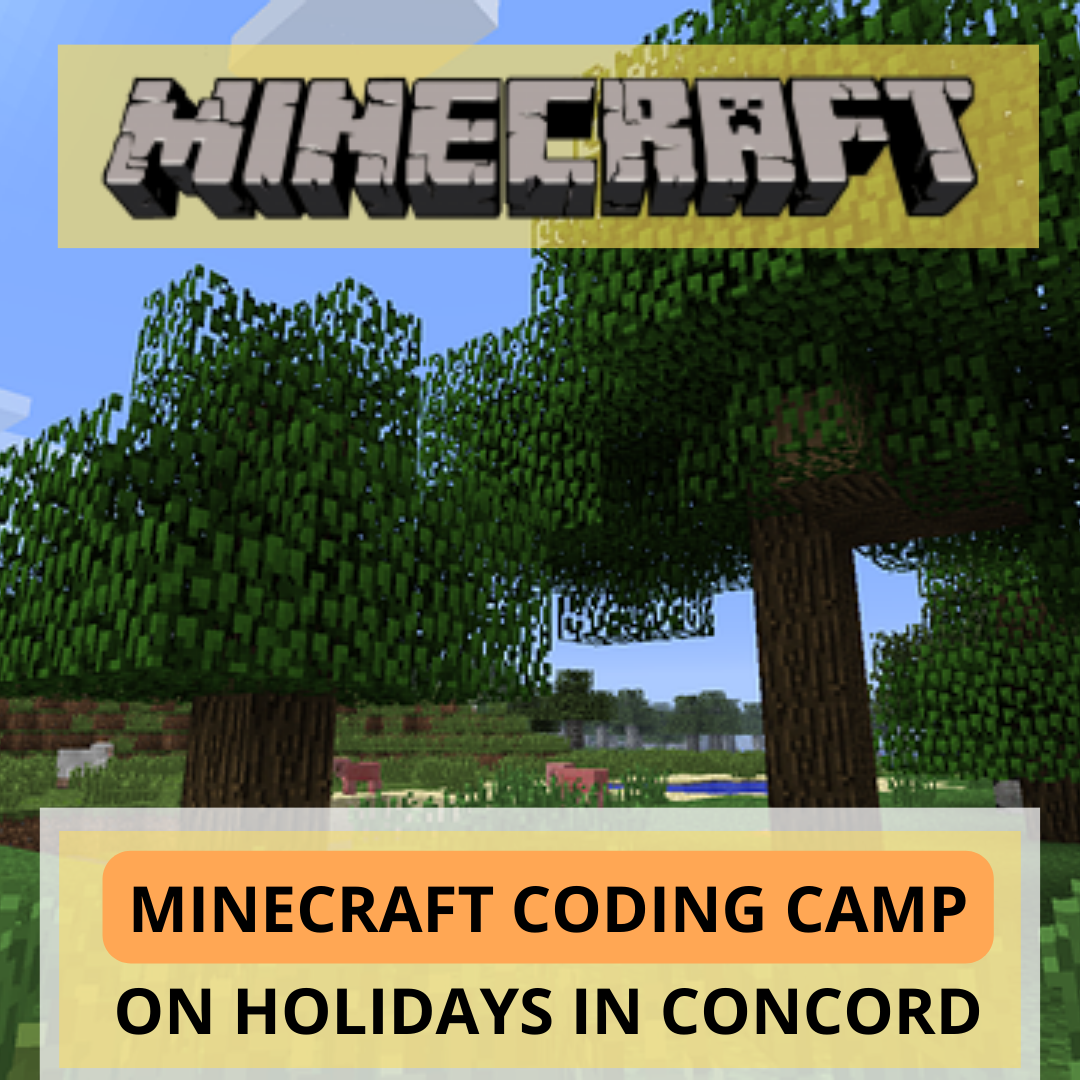 Minecraft Level 1 - Coding Camp in Concord West Club – Thinklum