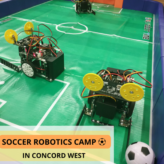 Thinklum Soccer robotics Holidays Camp in Concord West