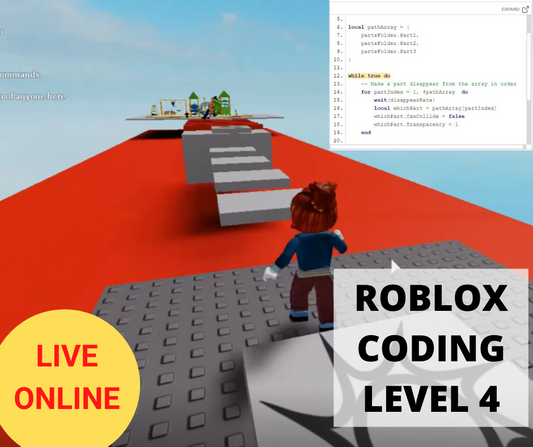 Private Tutor Led One-On-One Online Classes - Roblox, , Minecra –  Thinklum